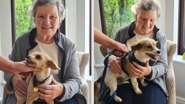 Canine companions delight at Whittlesey care home